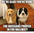 Were-glad-youre-home-the-russians-pooped-in-the-hallway-9821484